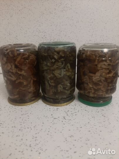 Грибы опята (маринованные)