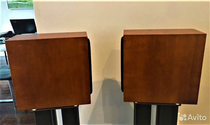 Hi-End ASW Genius-100 (Made in Germany)