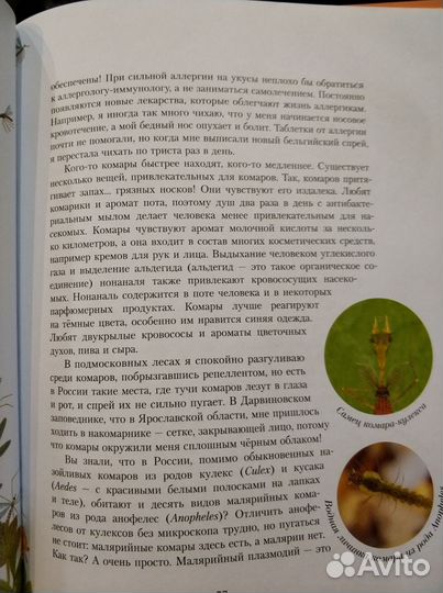 Познавательные книги для детей