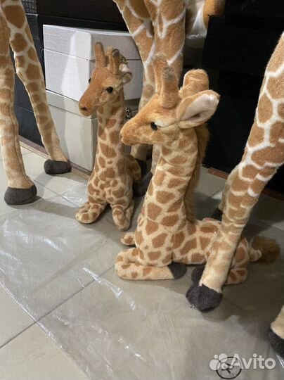 Игрушки жираф
