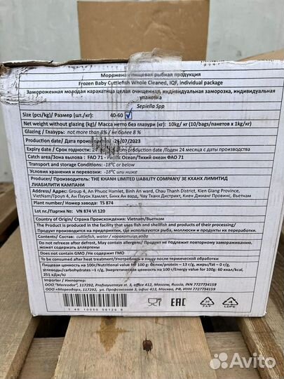 Каракатица