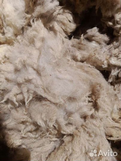 Шерсть овечья