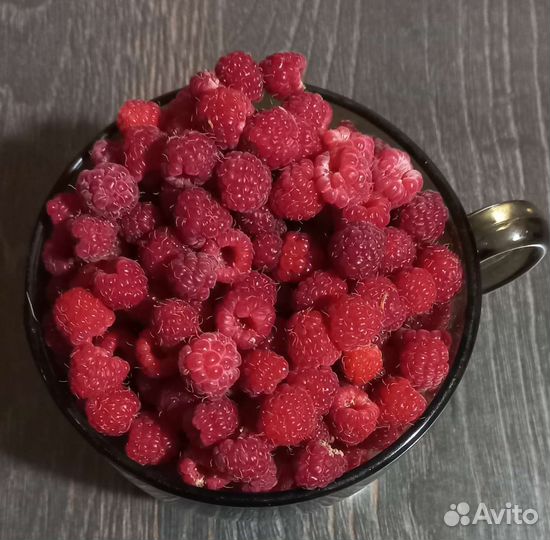 Малина кустики