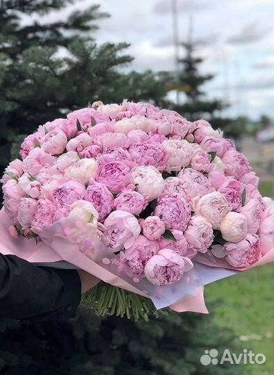 Пионы Цветы Доставка
