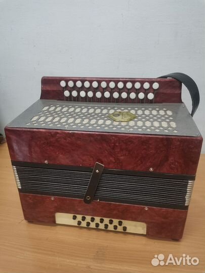 Гармонь Кубань