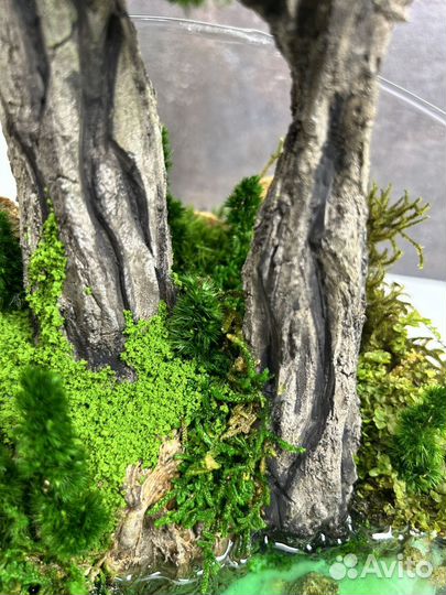 Моссариум с водоемом 