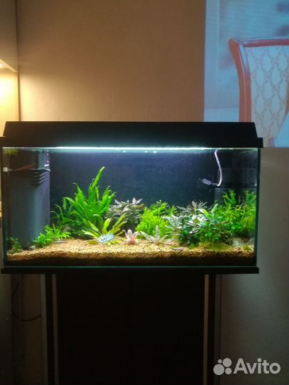 Аквариум акваэль 110 л