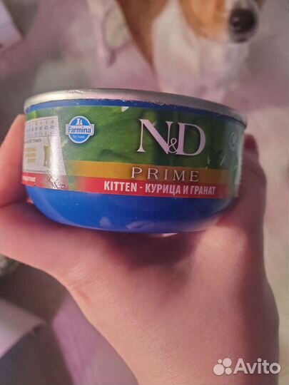 Farmina для котят (сухой и влажный корм)