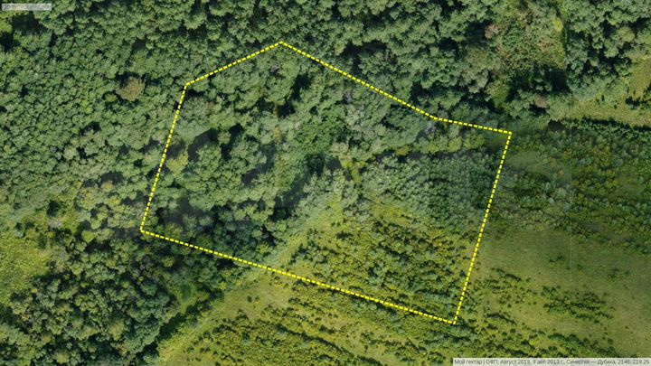 Участок 1,04 га (СНТ, ДНП)