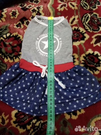 Одежда для животных