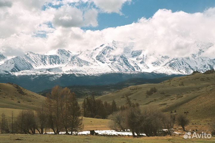 Весенний тур по Алтаю