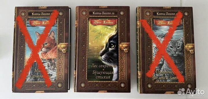 Книги «Коты воители» Эрин Хантер