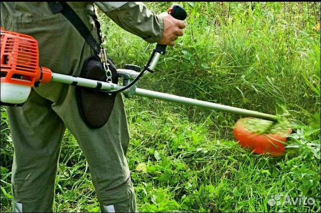 Покос травы триммером в Алексеевке | Услуги | Авито