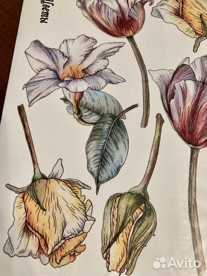 Интерьерные наклейки