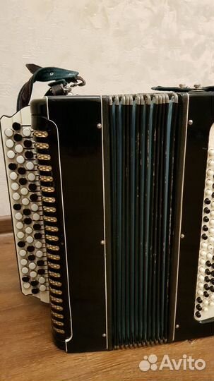 Баян советский 