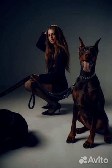 Вяжу за Щенка на выбор