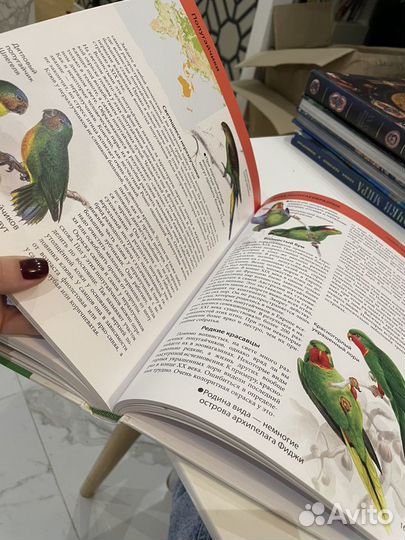 Птицы детская энциклопедия