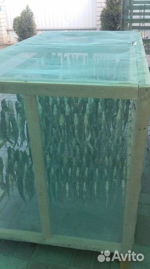 Сушилка для рыбы