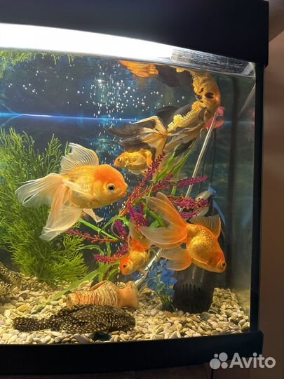 Украшение для аквариума