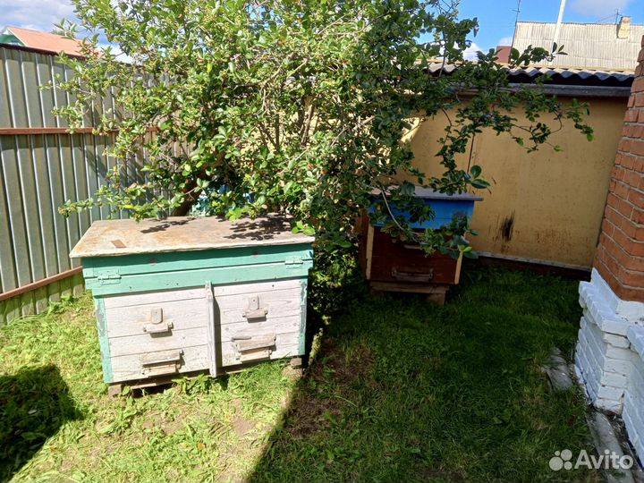 Улей для пчел