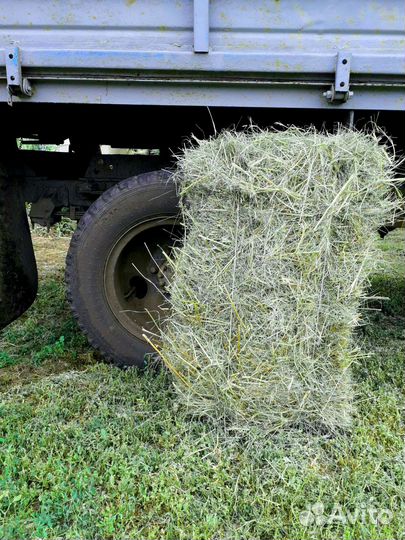 Сено в тюках