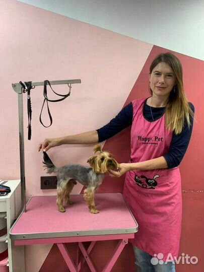 Груминг Тримминг Стрижки