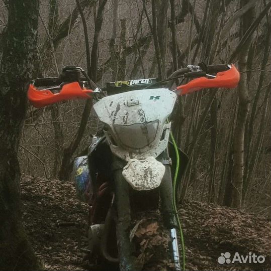 Регульмото