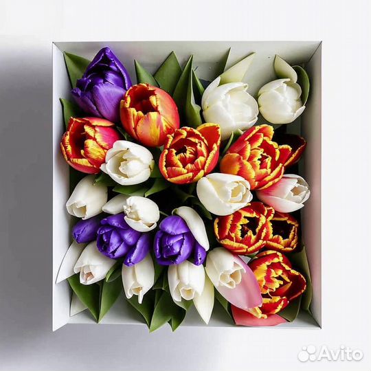 Тюльпаны к 8 марта оптом новосибирск