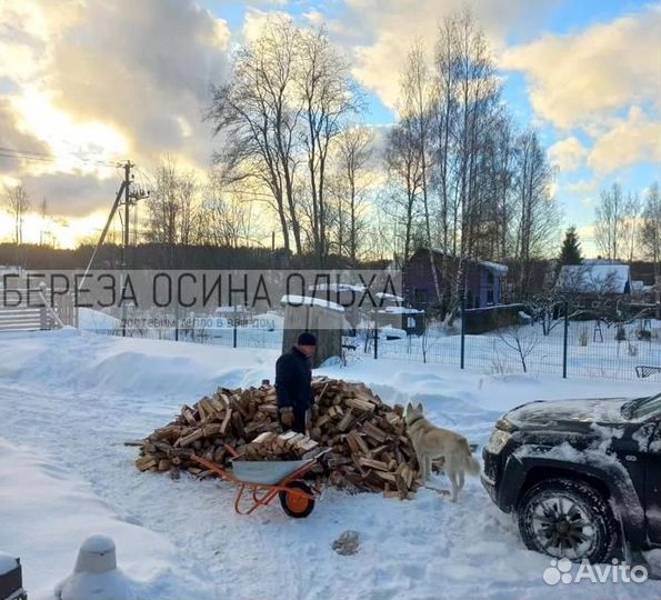 Дрова березовые ольховые