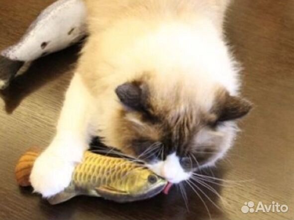 Игрушки для кошек с кошачьей мятой рыба