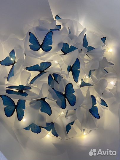 Букет из бабочек