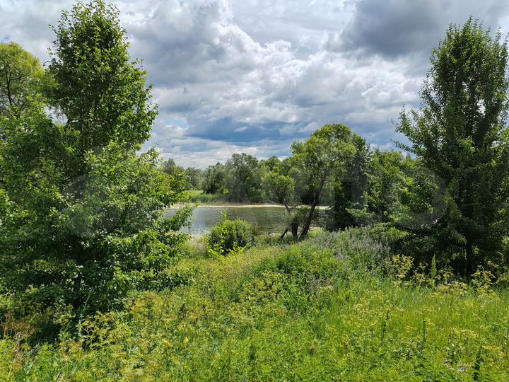 Участок 6 га (СНТ, ДНП)