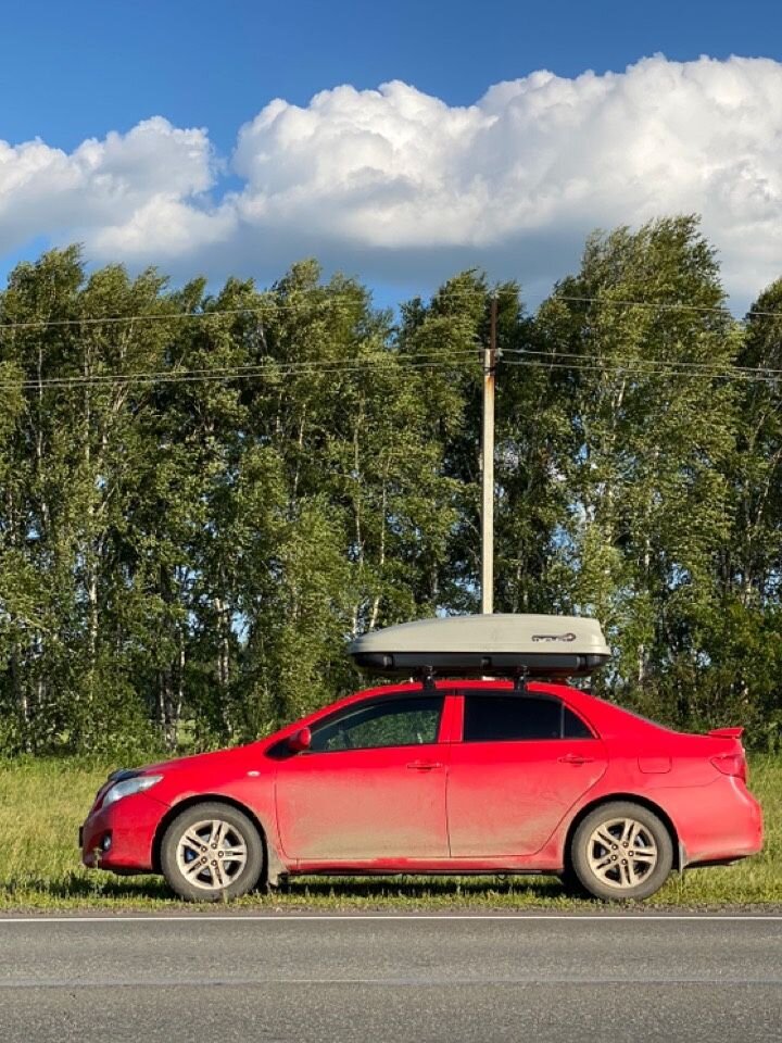 Toyota Corolla: фото владельца