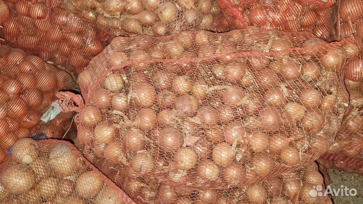 Лук репчатый мелкий жёлтый, красный