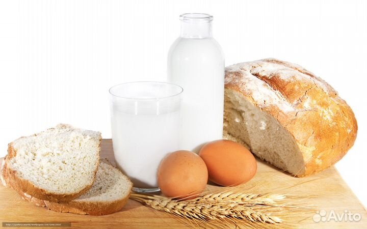 Молоко козье, йогурт, творог, сыр с доставкой