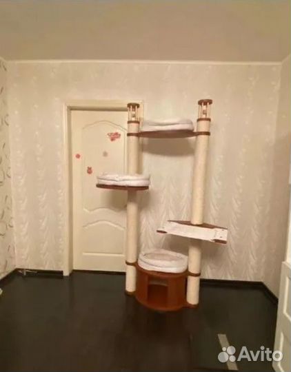 Комплекс для кошек