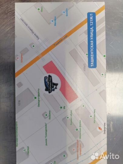 Карась, капр живой