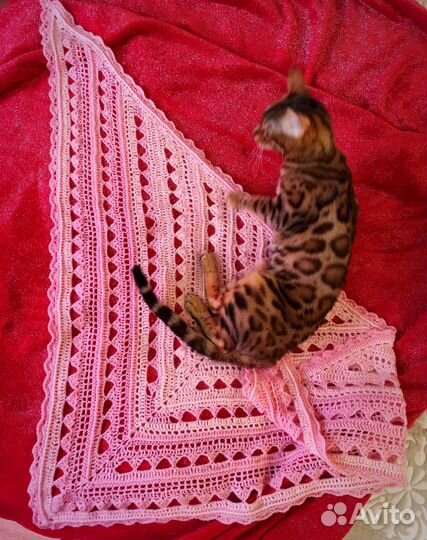 Платок шаль бактус