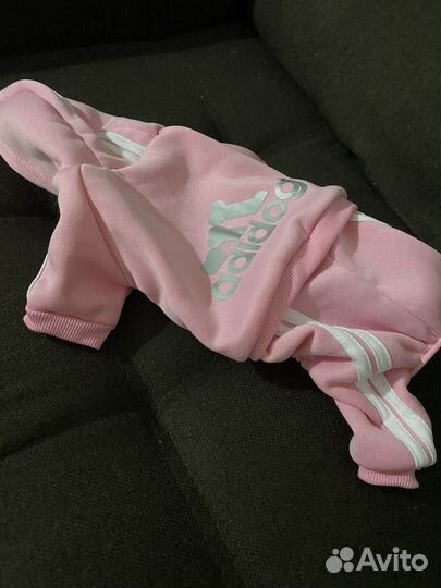 Костюм для собаки