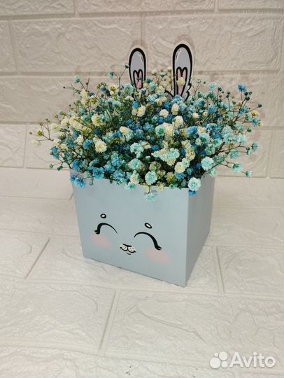 Радужная гипсофила в коробке