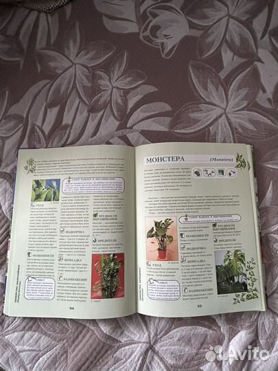 Энциклопедия комнатных растений