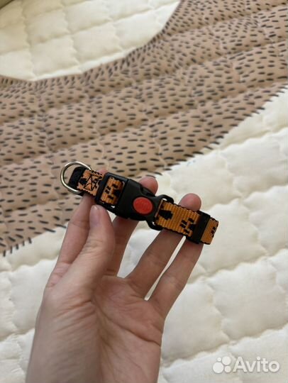 Поводок для собак