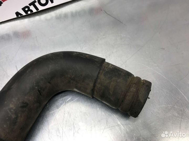 Патрубок радиатора Nissan Cefiro 1996 г.в