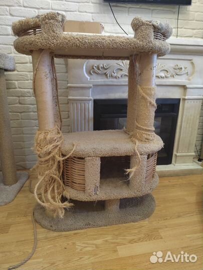 Когтеточка