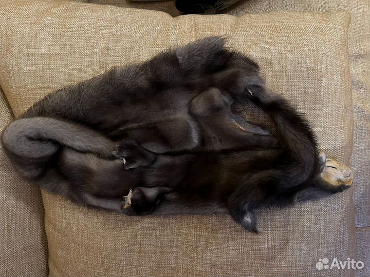 Норковые шкурки