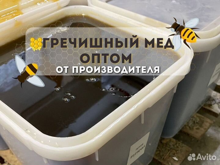 Гречишный мёд оптом