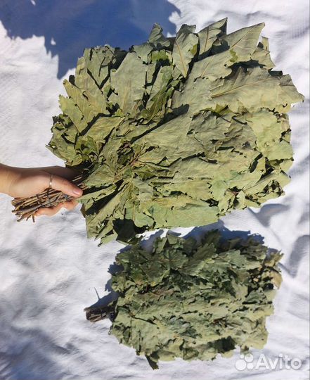 Веники для бани