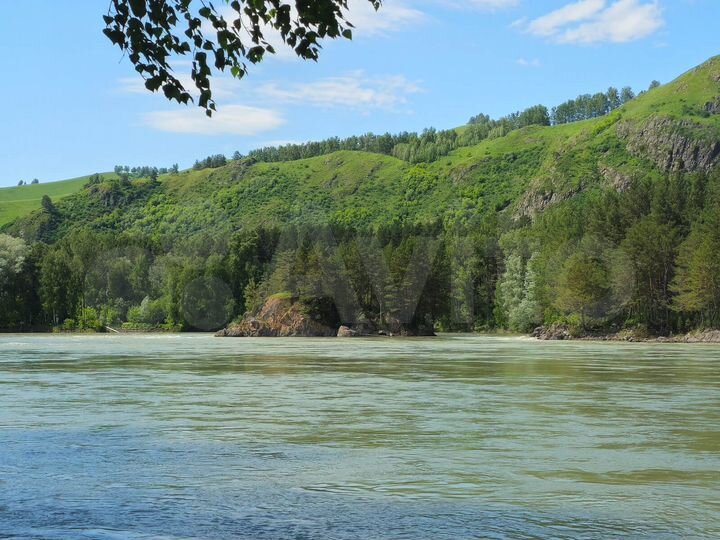 Участок 1,1 га (СНТ, ДНП)