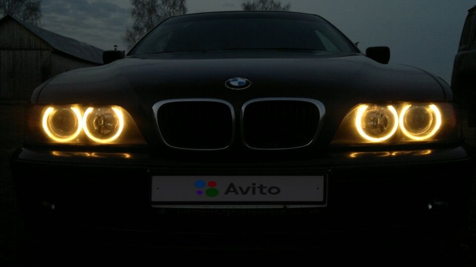 BMW 5 серия: фото владельца