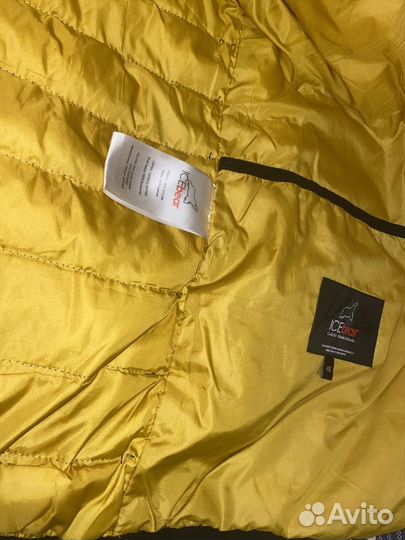 Ветровка ice bear